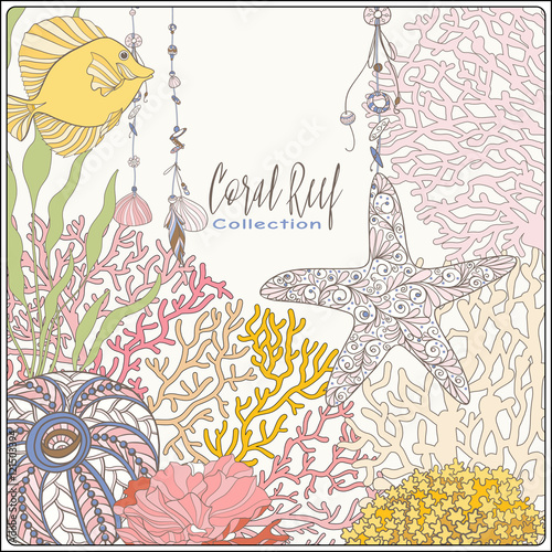 Coral reef collection. Corals and fish.