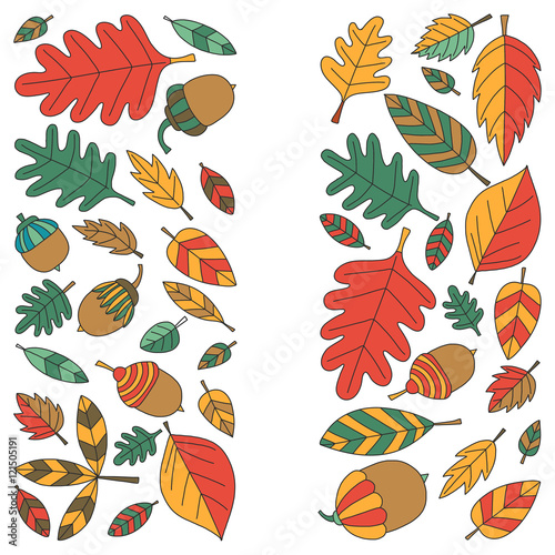 Pattern with autumn leaves Oak Mapple Acorn Linden