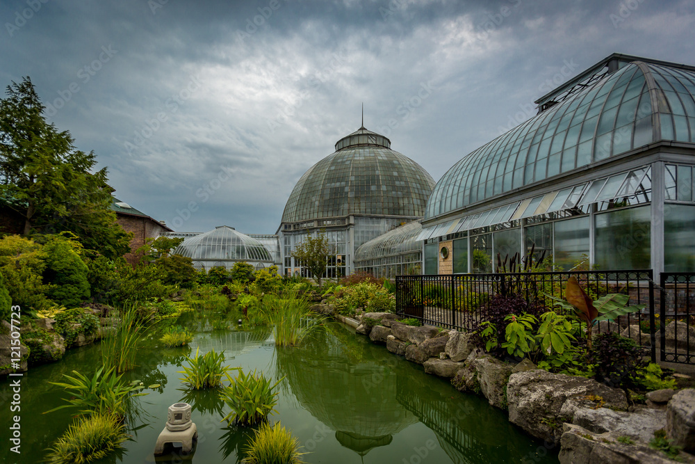 Fototapeta premium The Conservatory 