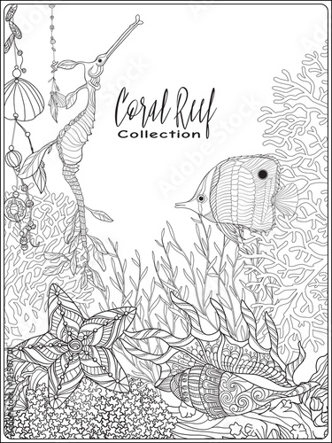 Coral reef collection.Anti stress coloring book for adult and. Outline drawing coloring page.