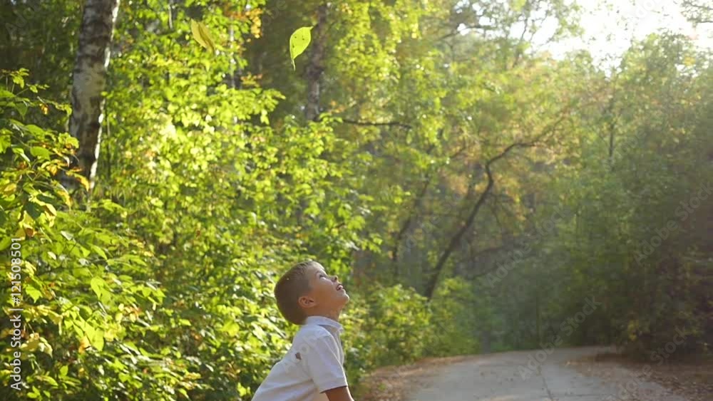 the child throws up the leaves and having fun Stock Video Adobe Stock