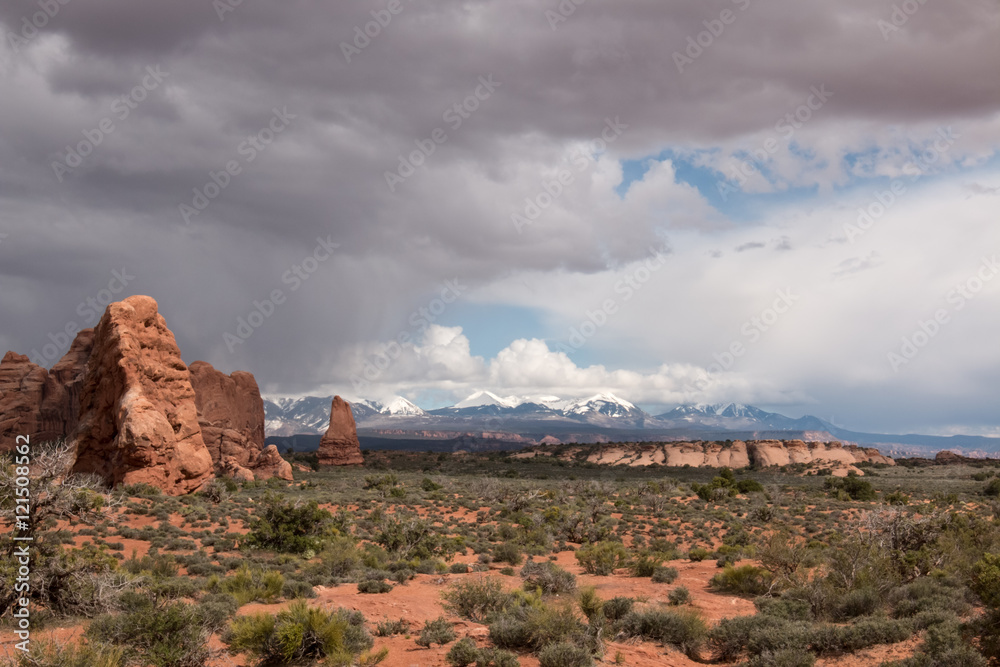 View in Arches National Park
