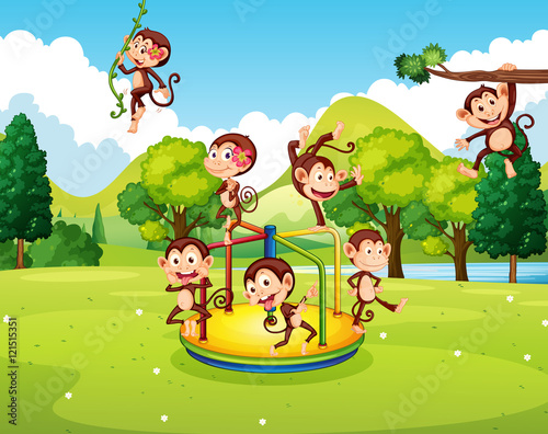 Many monkeys playing in the park