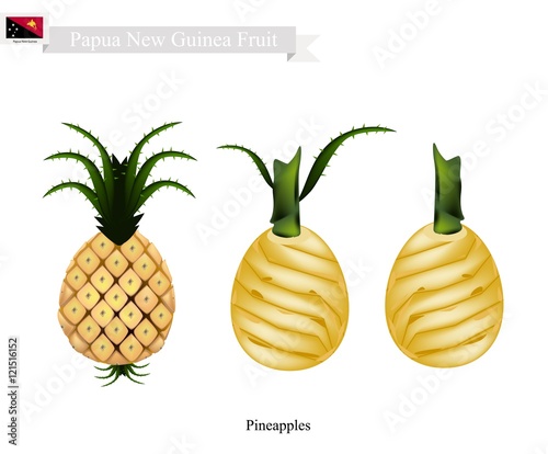 Fresh Pineapple, A Famous Fruit in Papua New Guinea © Iamnee