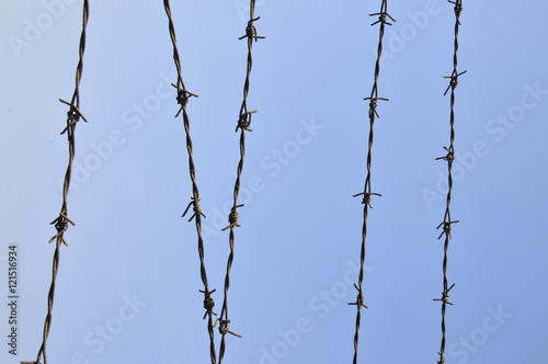 Rusty barbed wire, blue sky background