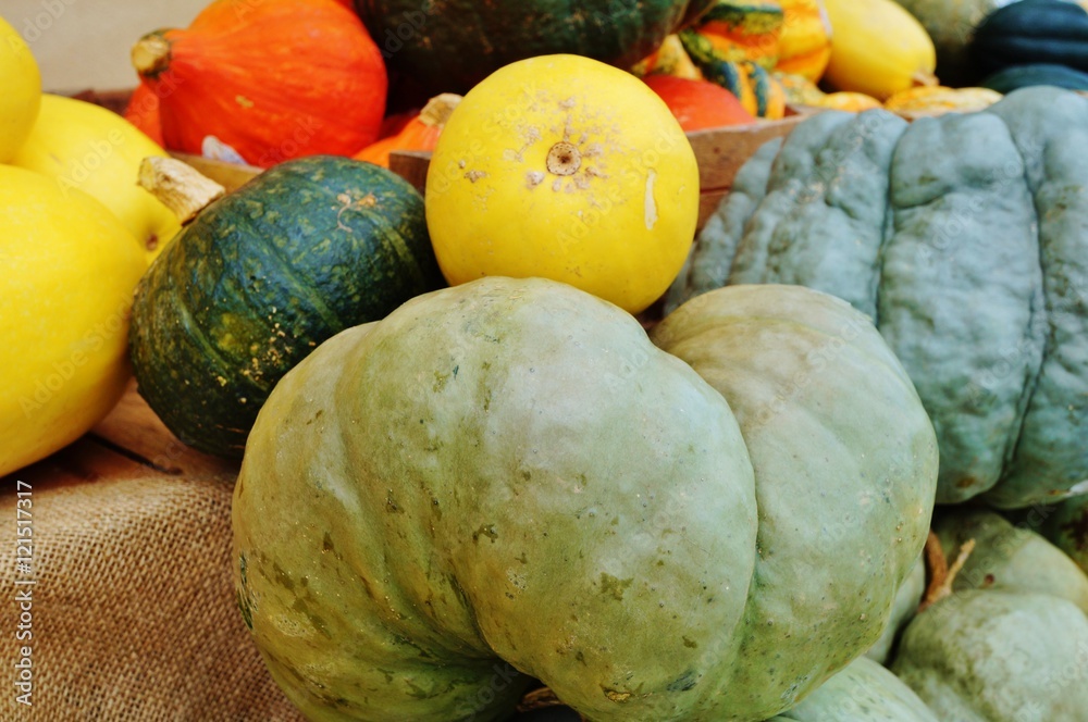Colorful decorative pumpkins and gourds in autumn 