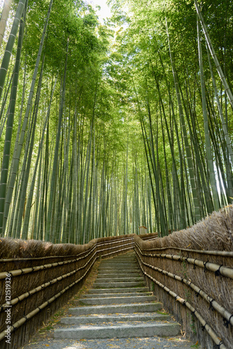 京都嵐山　念仏寺の竹林