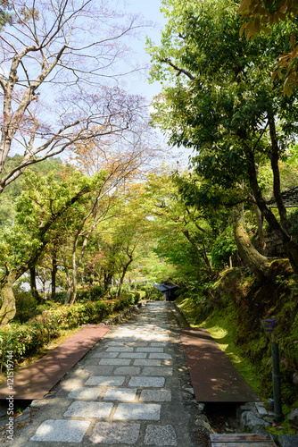 春の念仏寺 京都嵐山