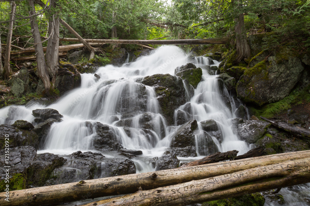 Wilderness Waterfall