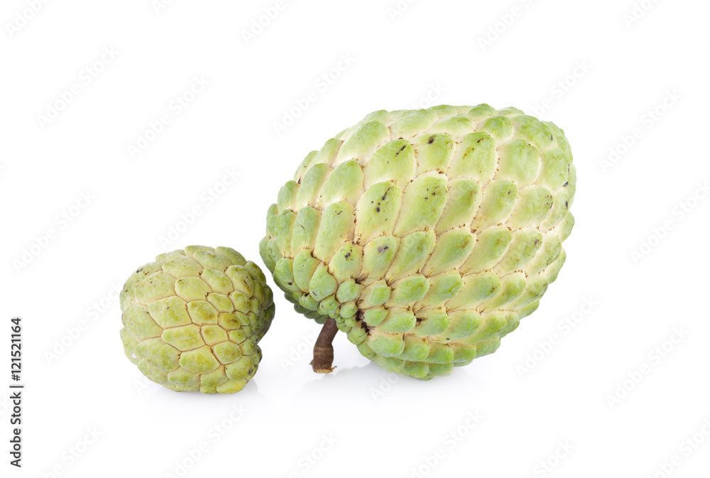 Fototapeta premium custard apple fruit with stem on white background