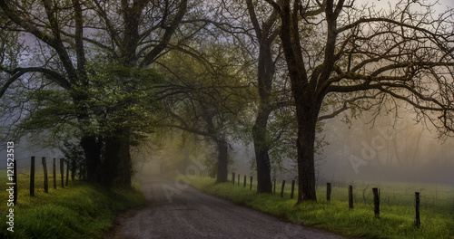 Rural Mountain Morning photo