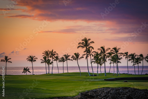Hawaii Palm Tree Sunset 2