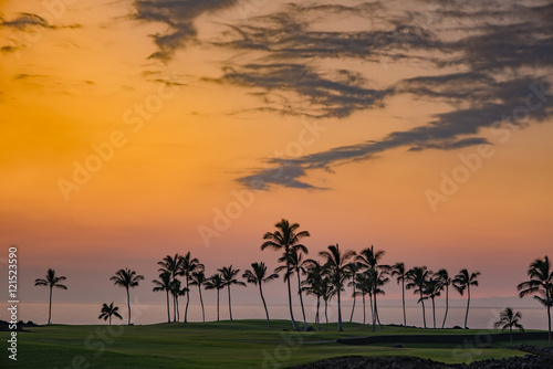 Hawaii Palm Tree Sunset 1