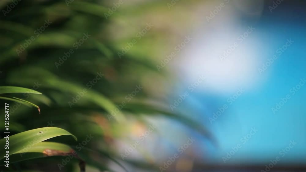 Meditation IV