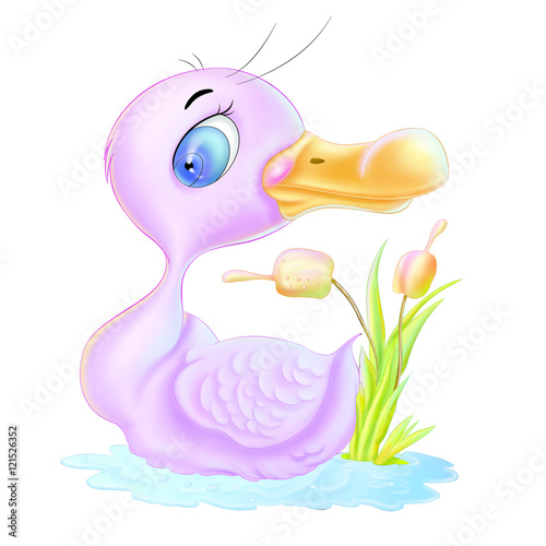 Duck