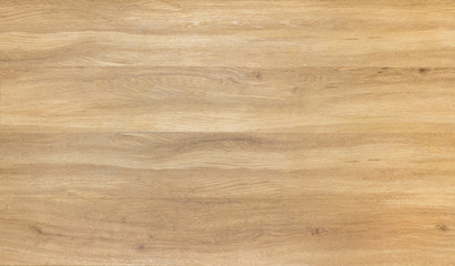 nature wood background