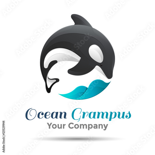 Vector illustration. Logo orca whale. Isolated white background. Grampus. Killer . The concept of protection whales. design . Template for your business company. Creative abstract colorful.