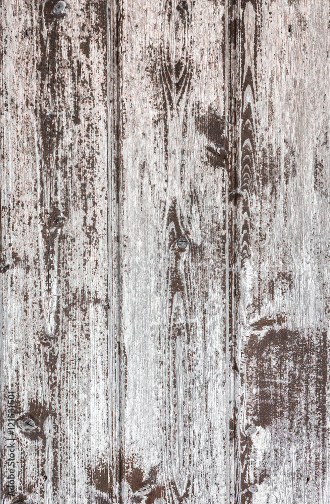 White wood texture White wood texture