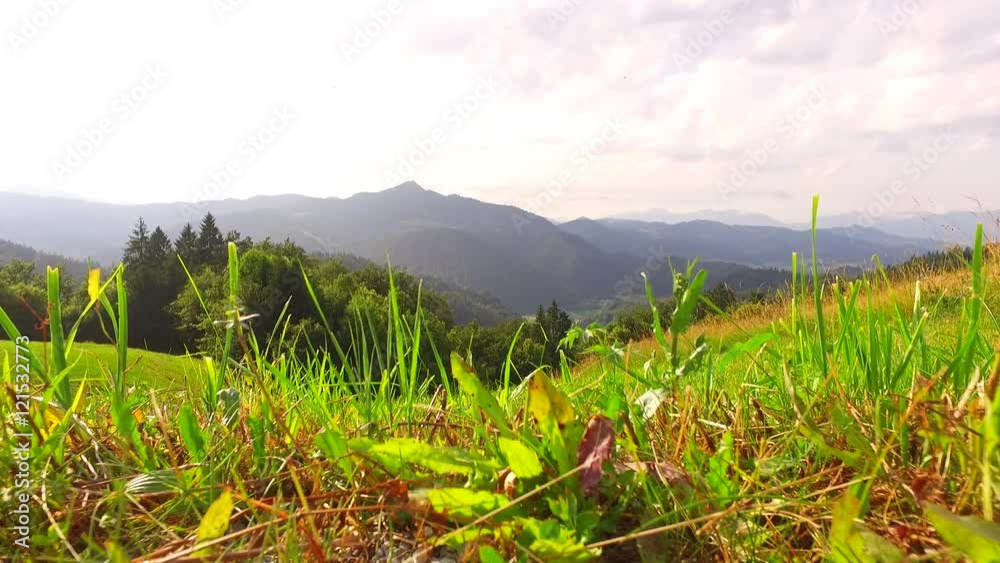 Beautiful pastures at the end of spring, in a beggining of summer time. In the mountains. Beautiful pastures at the end of spring, in a beggining of summer time. In the mountains.