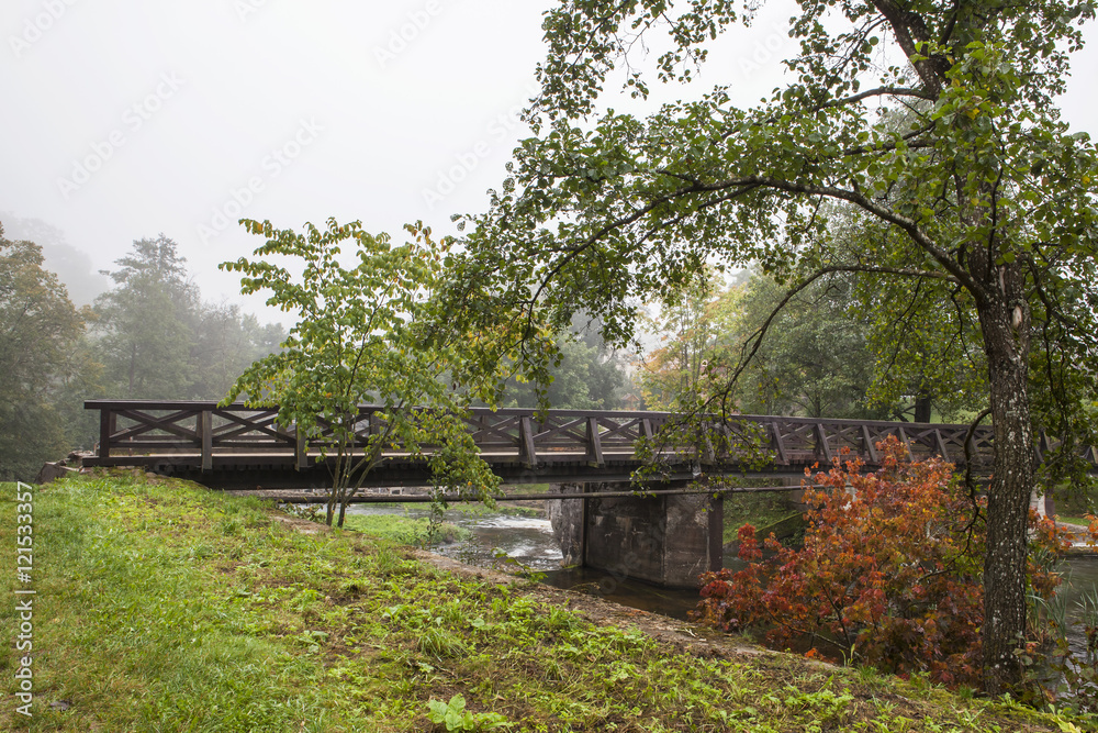 Wooden bridge across the river. Foggy autumn morning. Trees with red and green leaves. Green grass. 