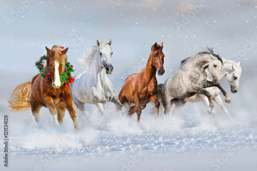 Horse herd run in snow. Christmas image