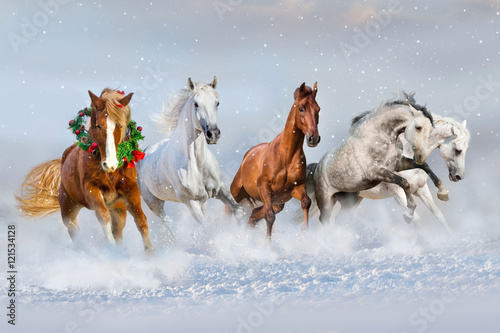 Fototapeta Naklejka Na Ścianę i Meble -  Horse herd run in snow. Christmas image