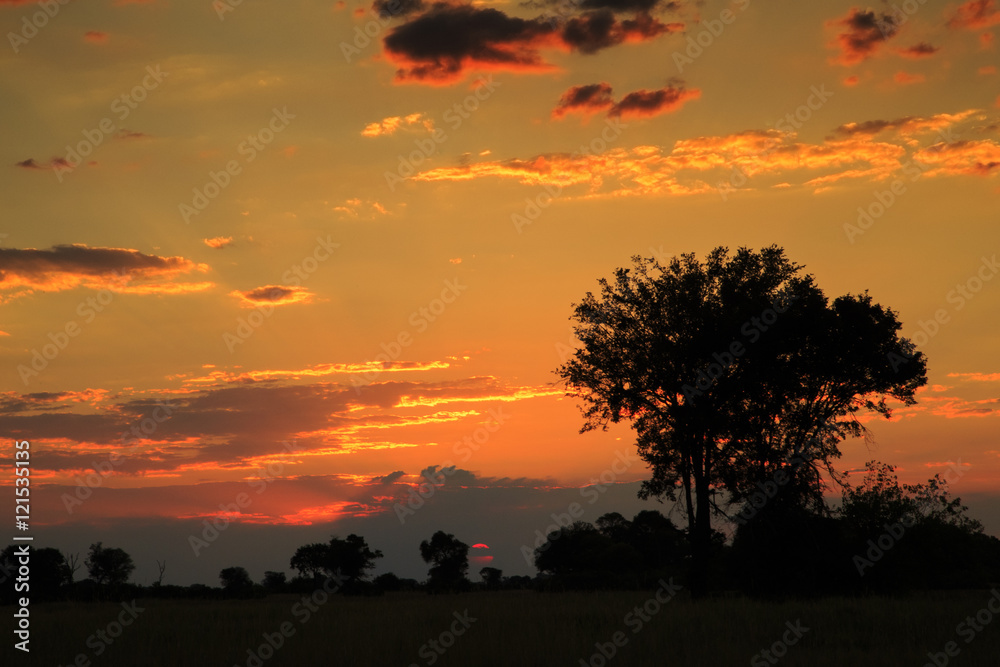 Fototapeta premium Delta sunset