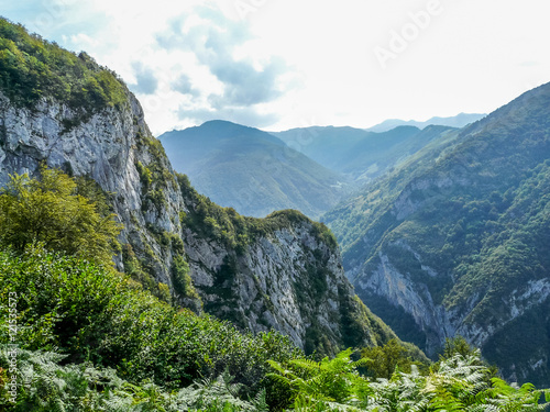 Vallée d'Asp, Pyrénées photo