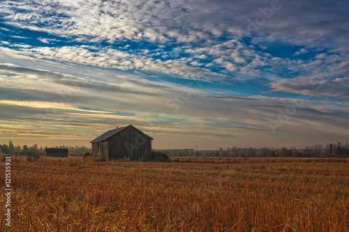 Morning On The Autumn Fields