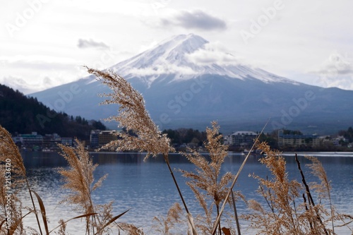Grass by lake with view of Mount Fuji. Lake Kawaguchi. Yamanashi Prefecture. Fuji Five Lakes. Japan. 