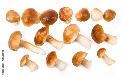 The cepes