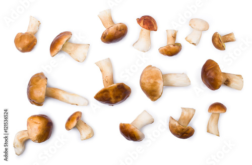 The cepes