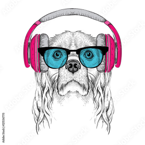 The image of Cocker Spaniel in the glasses, headphones and in hip-hop hat. Vector illustration.