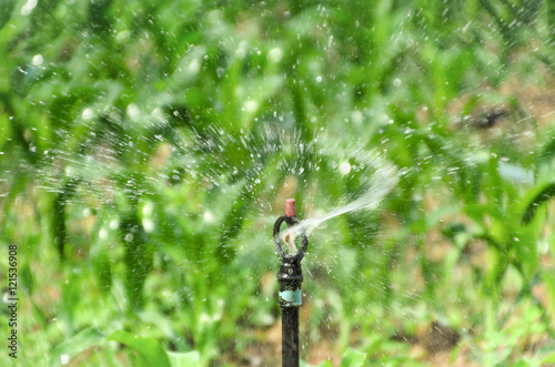 sprinkler old dilapidated in farm Sugarcane Daytime .