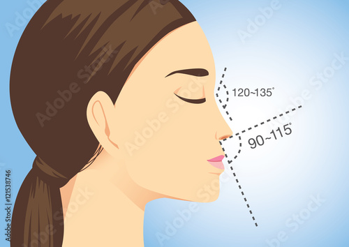 Ideal nose characteristics for woman on blue background. Illustration about beauty surgery. 