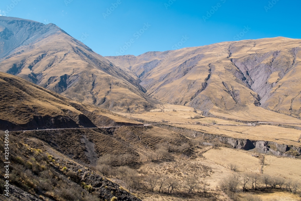 Naklejka premium Andean landscape