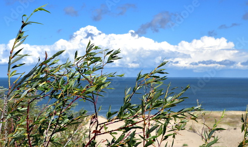 Kurische Nehrung - Strandidylle photo