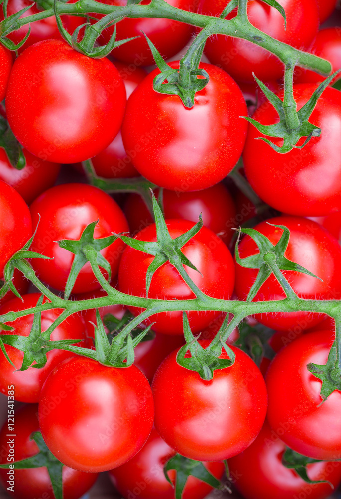 Background of red tomatoes. Fresh juicy tomatoes on the branches Background of red tomatoes. Fresh juicy tomatoes on the branches