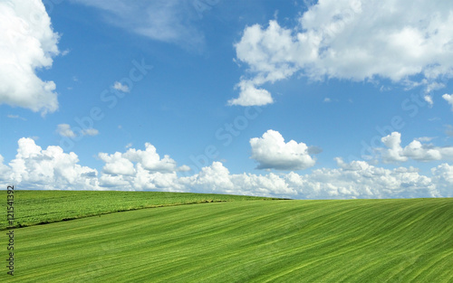 Green field in the month of June. © PHOTOEURO