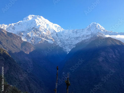 Annapurna, Machapuchare, mountain from Chhomrong village, Nepal.