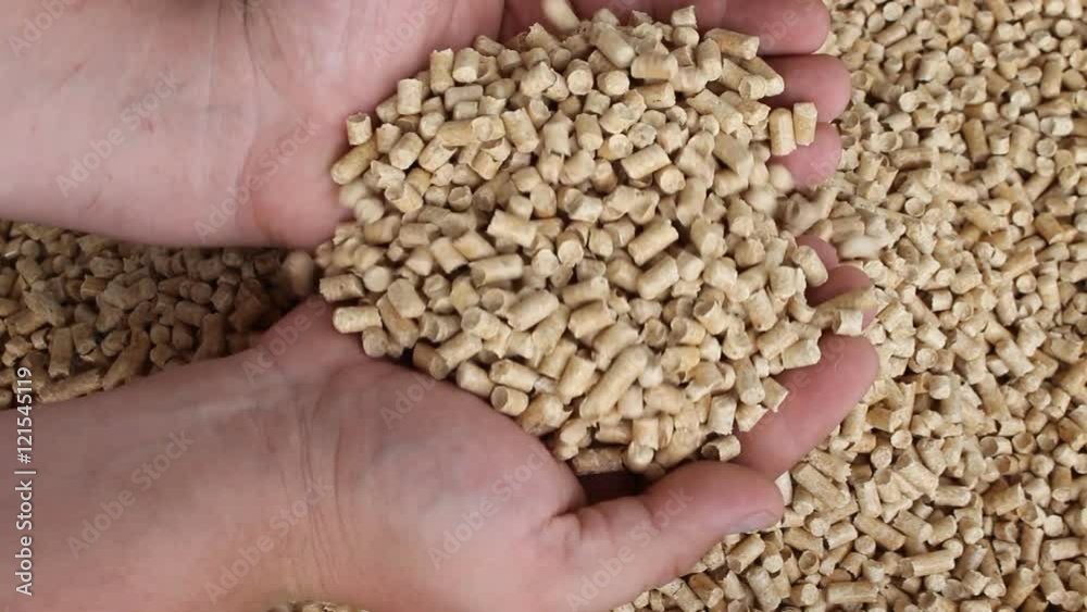 Biofuel, biofuels, Eco-fuel, an alternative biofuel made from sawdust . Male gains in the hands of wood pellets . Wood pellets used as cat litter. Biofuel, biofuels, Eco-fuel, an alternative biofuel made from sawdust . Male gains in the hands of wood pellets . Wood pellets used as cat litter.