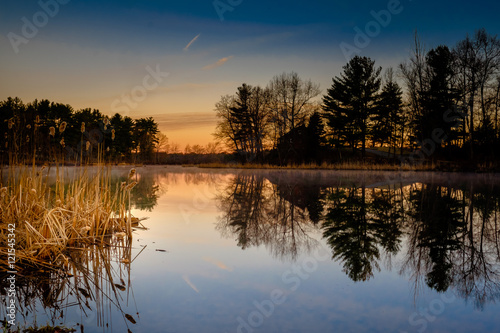 Placid Pond at Dawn