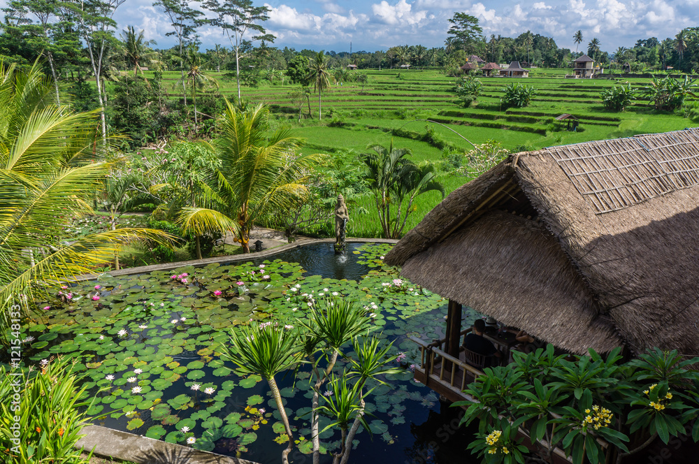 Restaurant dans les rizières, Ubud, Bali, Indonésie Restaurant dans les rizières, Ubud, Bali, Indonésie
