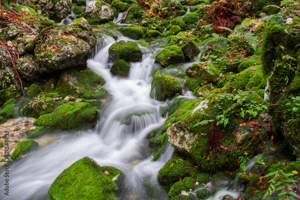 Mountain creek in the autumn forest in Triglav national park Mountain creek in the autumn forest in Triglav national park