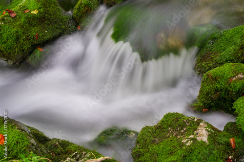 Mountain creek in the autumn forest in Triglav national park