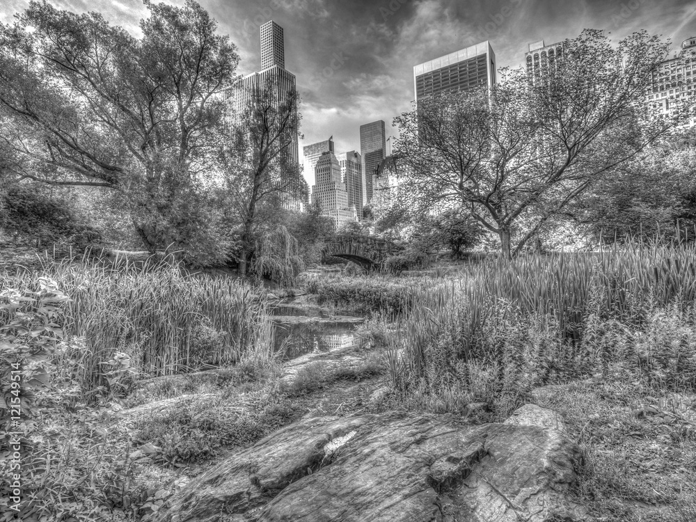 Gapstow bridge Central Park, New York City