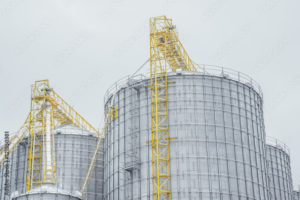 White silos for the storage of wheat flour,Factory of flour White silos for the storage of wheat flour,Factory of flour