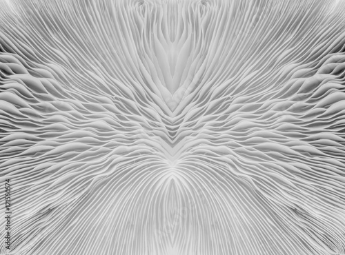 Quadro em tela black and white abstract background macro image of mushroom, Sajor-caju Mushroom