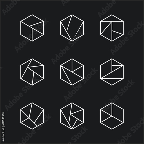 polygon abstract lineart logo