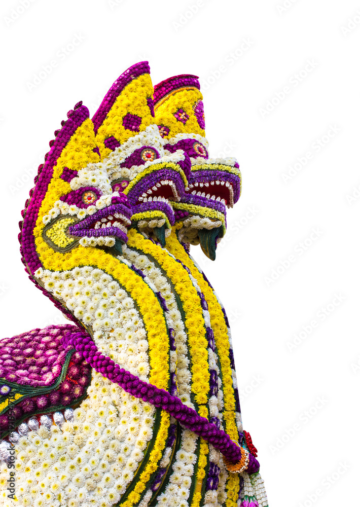 Obraz premium Serpent made of flowers Isolated white background